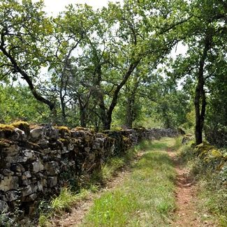 Wandelpad bij Gîte les Sangliers