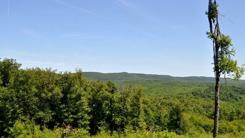 Forêt Domaniale de Gresigne