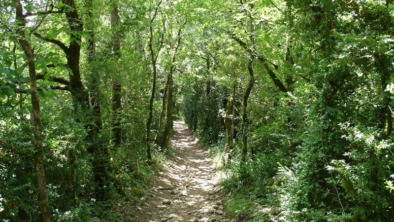 sentier rando causse