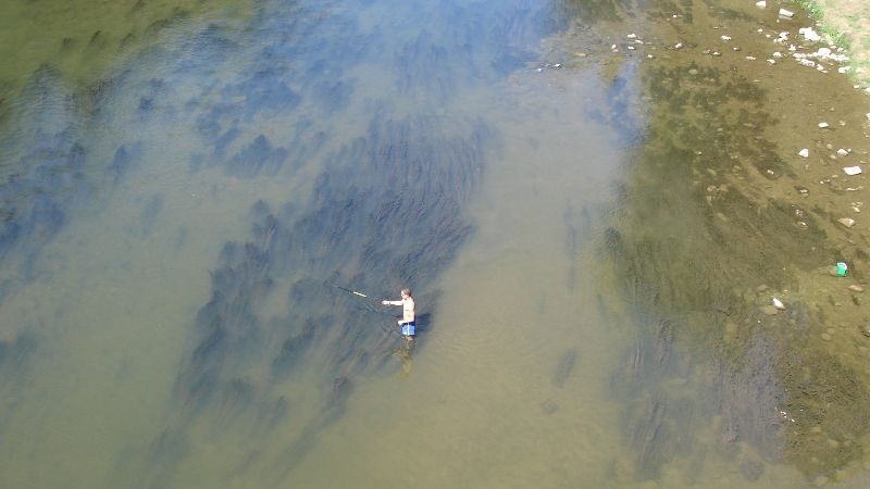 Aveyron pêche